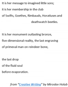 Snip from poem by Miroslav Holub - "Creative Writing"